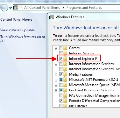 install two versions of internet explorer