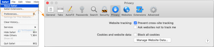 safari manage website data not clearing