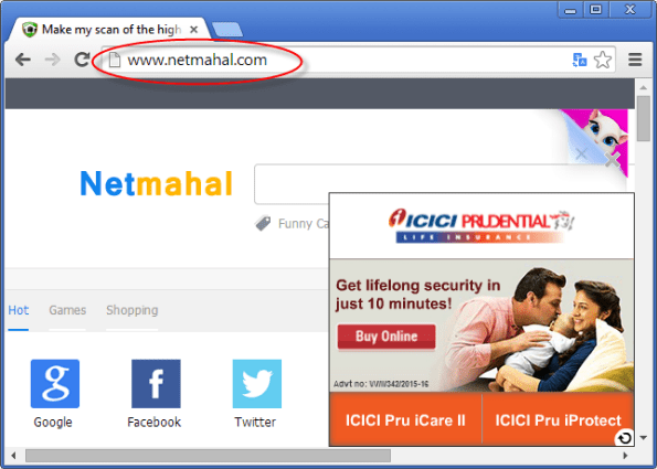 Netmahal.com Hoempage Image1