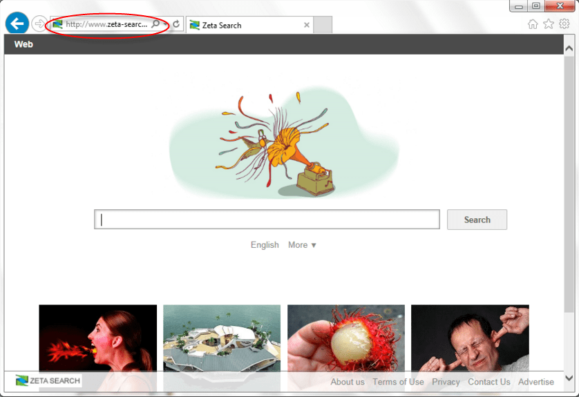 Zeta-search.com Homepage Image
