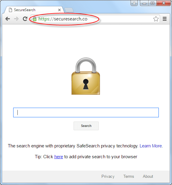 Securesearch.co Homepage Image