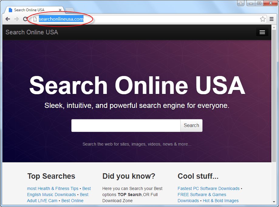 Searchonlineusa.com Homepage Image