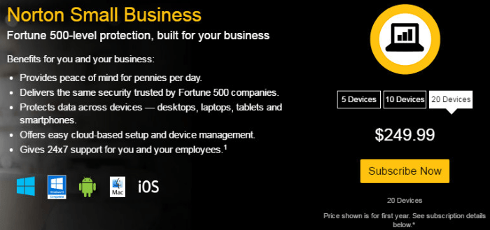 Norton Small Business Security