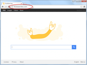 Nicesearches.com Homepage Image