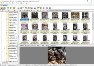 media photo viewer for windows 10 download cnet media photo viewer for windows 10 download cnet