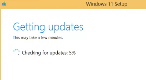 Wait while Windows 11 prepares