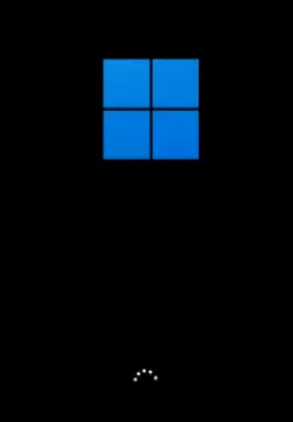 Windows 11 logo will appear