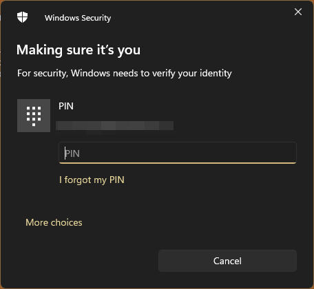 Confirm windows your password or pin to continue 