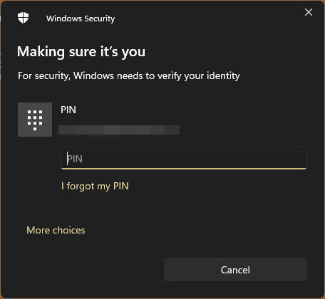 Confirm windows your password or pin to continue