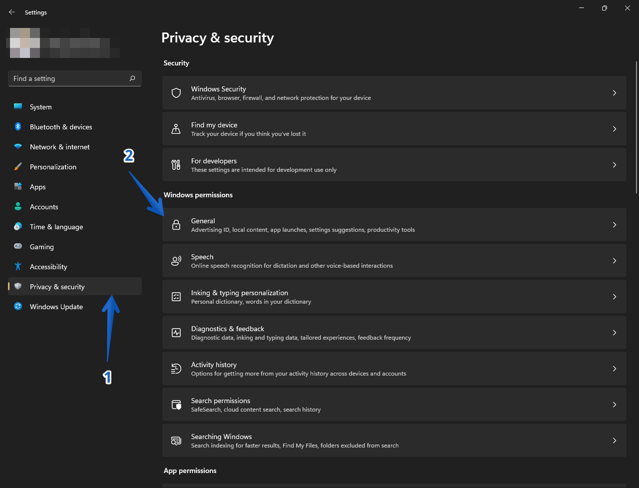 Open general privacy and security settings