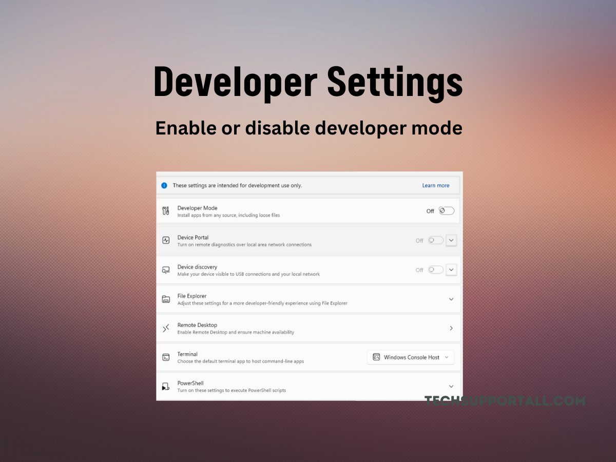 Developer settings and developer mode enable disable