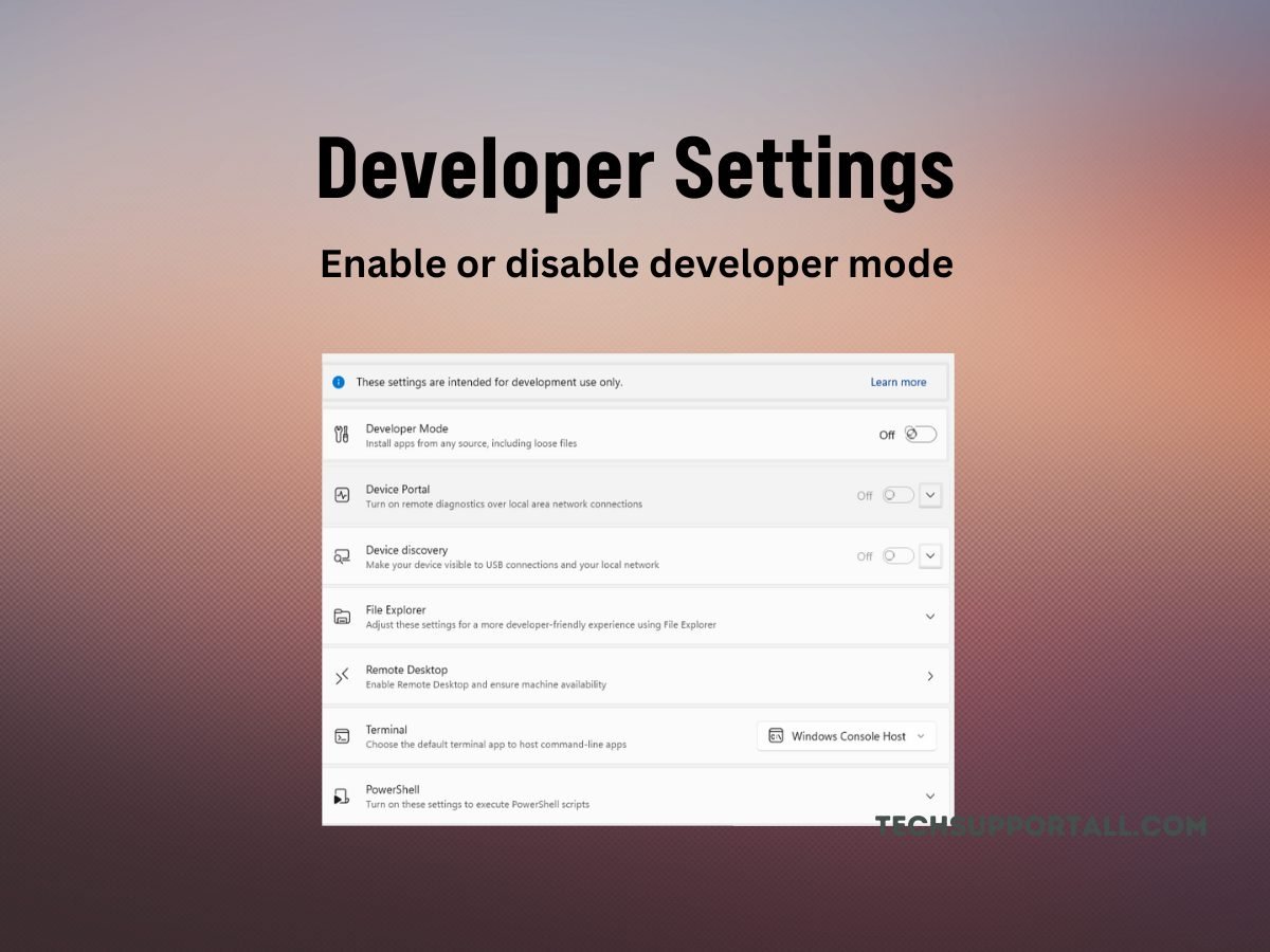 developer mode disable