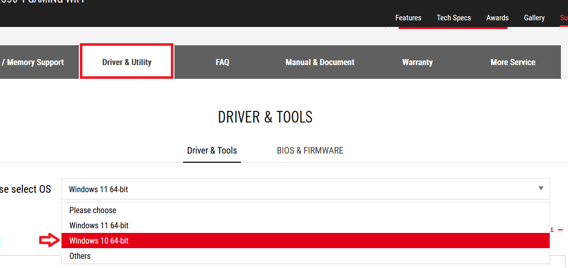 select your OS version